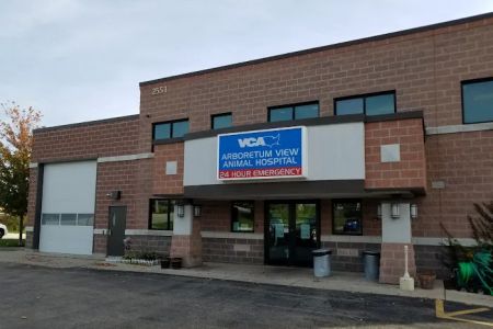 VCA Arboretum View Animal Hospital