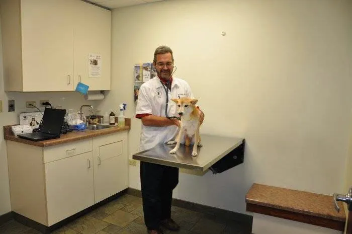 VCA Arboretum View Animal Hospital 12