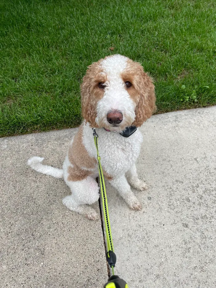 Hillchester Animal Hospital 12