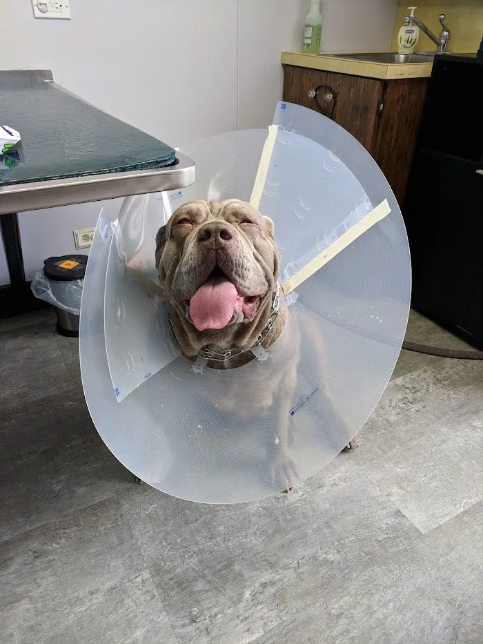 Merrick Animal Hospital 12