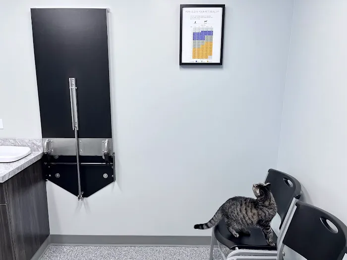Countryside Animal Hospital PC 12