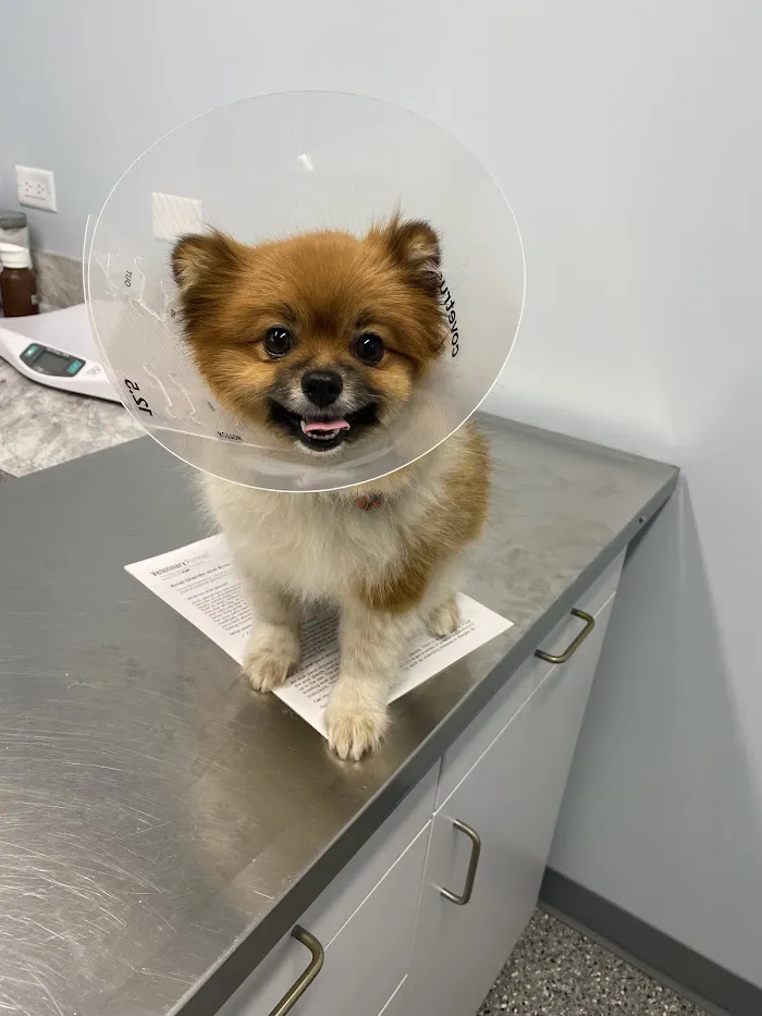 Countryside Animal Hospital PC 12