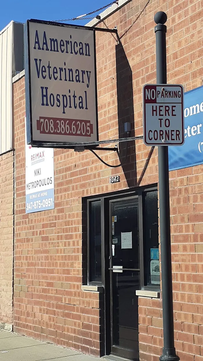 Aamerican Veterinary Hospital 12