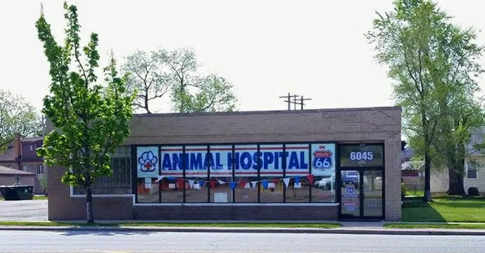 Animal Hospital On Route 66 12