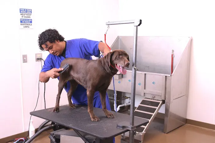 Animal Hospital On Route 66 12