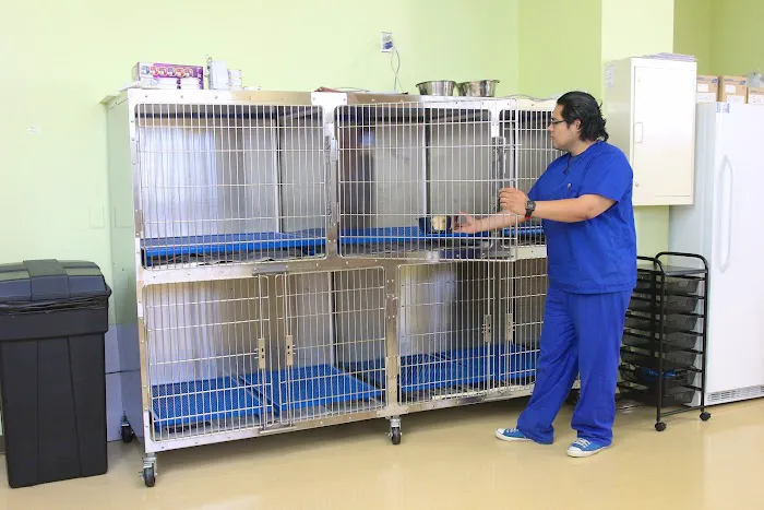 Animal Hospital On Route 66 12