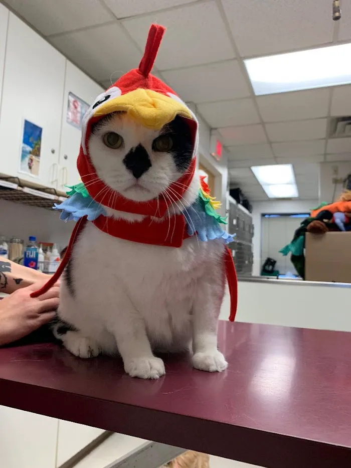 Carlson Animal Hospital, A Thrive Pet Healthcare Partner 12