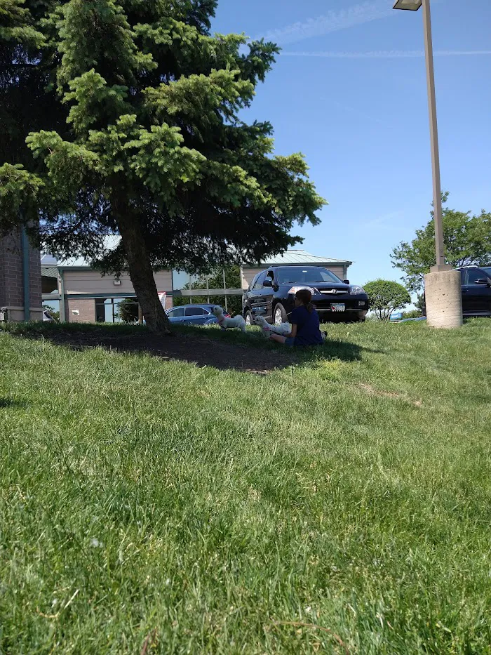 Elmhurst Animal Care Center 12