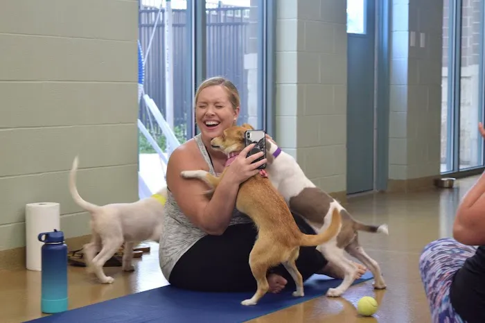 Elmhurst Animal Care Center 12