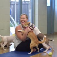 Elmhurst Animal Care Center ico