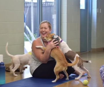 Elmhurst Animal Care Center