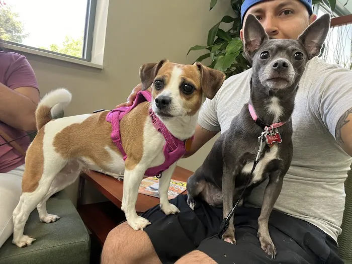 Elmhurst Animal Care Center 12