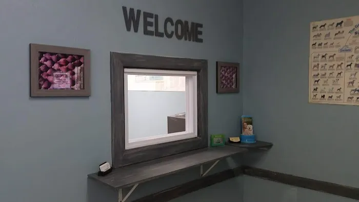 Abbot Animal Hospital 12