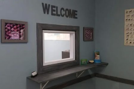 Abbot Animal Hospital