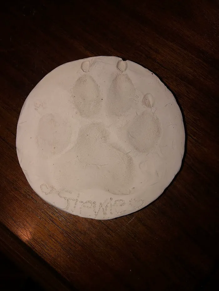 Abbot Animal Hospital 12
