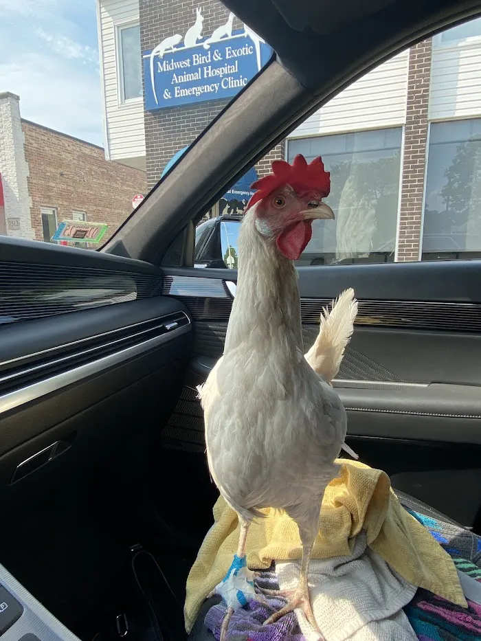 Midwest Bird and Exotic Animal Hospital 6