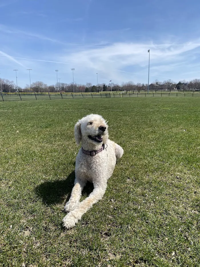 Village Veterinary Practice-Western Springs 12