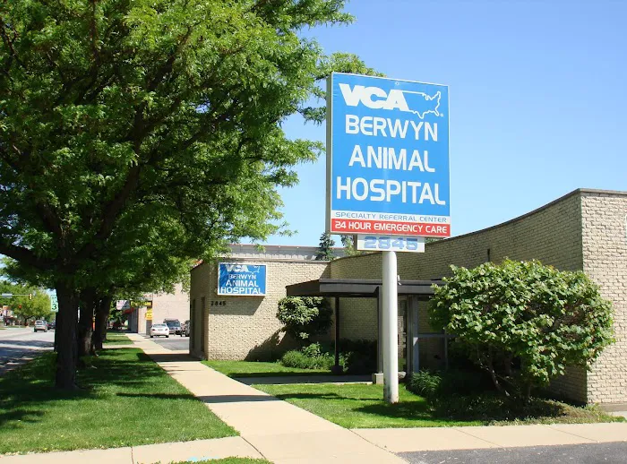 VCA Berwyn Animal Hospital 12
