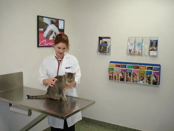VCA Berwyn Animal Hospital 12