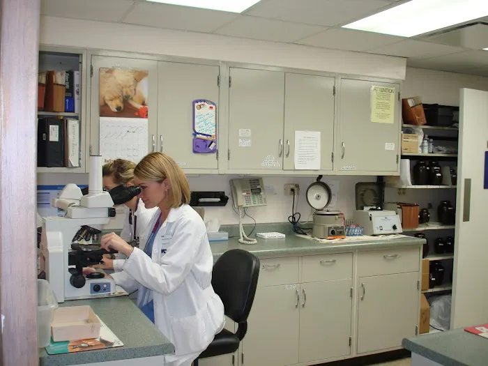 VCA Berwyn Animal Hospital 12