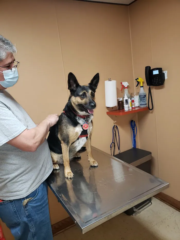 Animal Care Hospital of Schiller Park 12