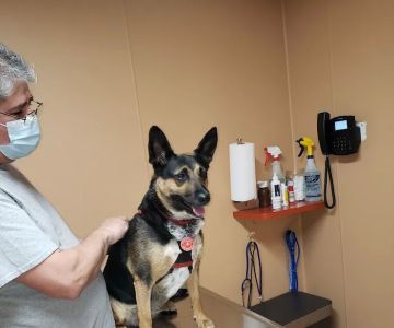 Animal Care Hospital of Schiller Park