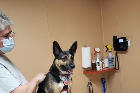 Animal Care Hospital of Schiller Park