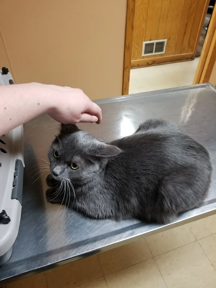 Animal Care Hospital of Schiller Park 12