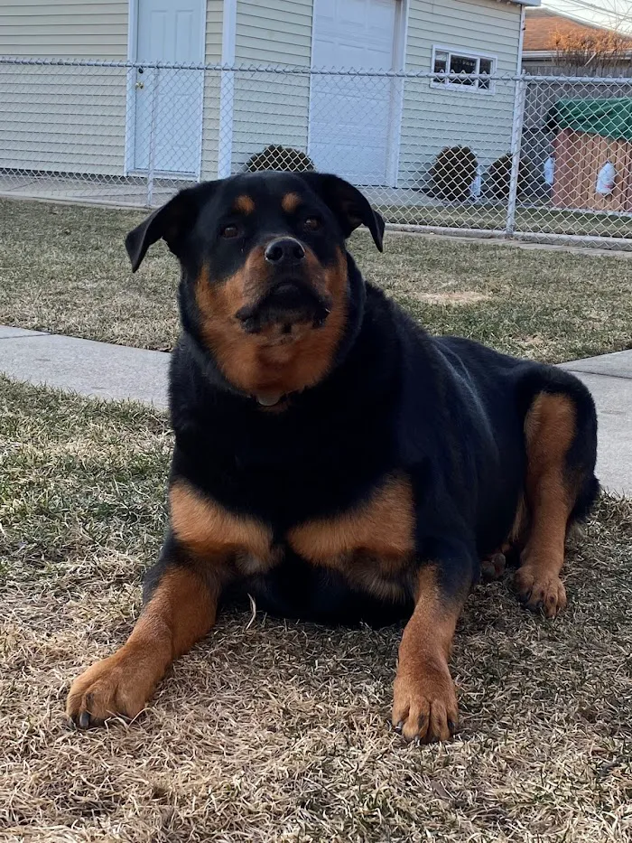 Countryside Veterinary Center 6