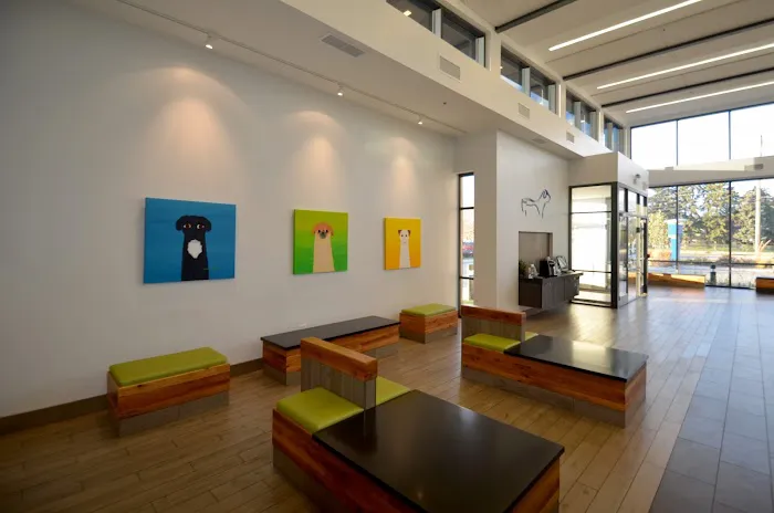 Countryside Veterinary Center 2
