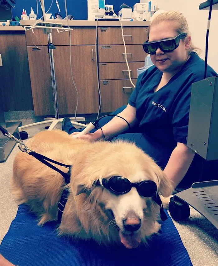 Countryside Veterinary Center 1