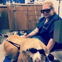Countryside Veterinary Center ico