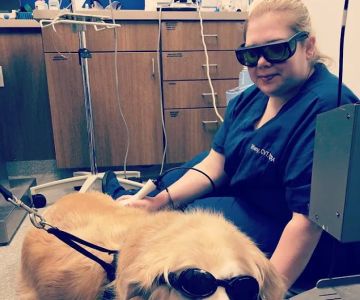 Countryside Veterinary Center
