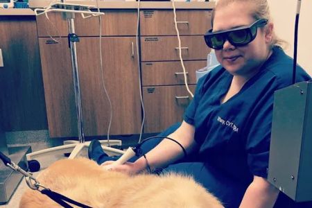 Countryside Veterinary Center