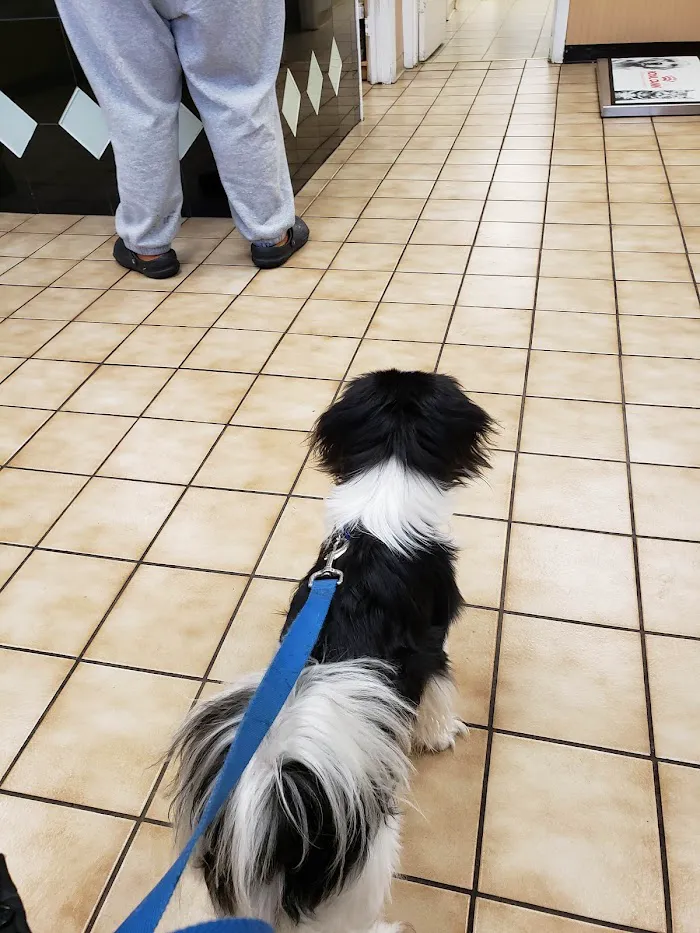 Animal Hospital of Stone Park 12