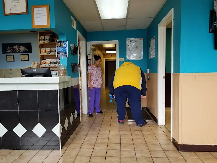 Animal Hospital of Stone Park 12