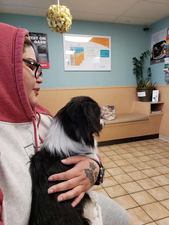 Animal Hospital of Stone Park 12