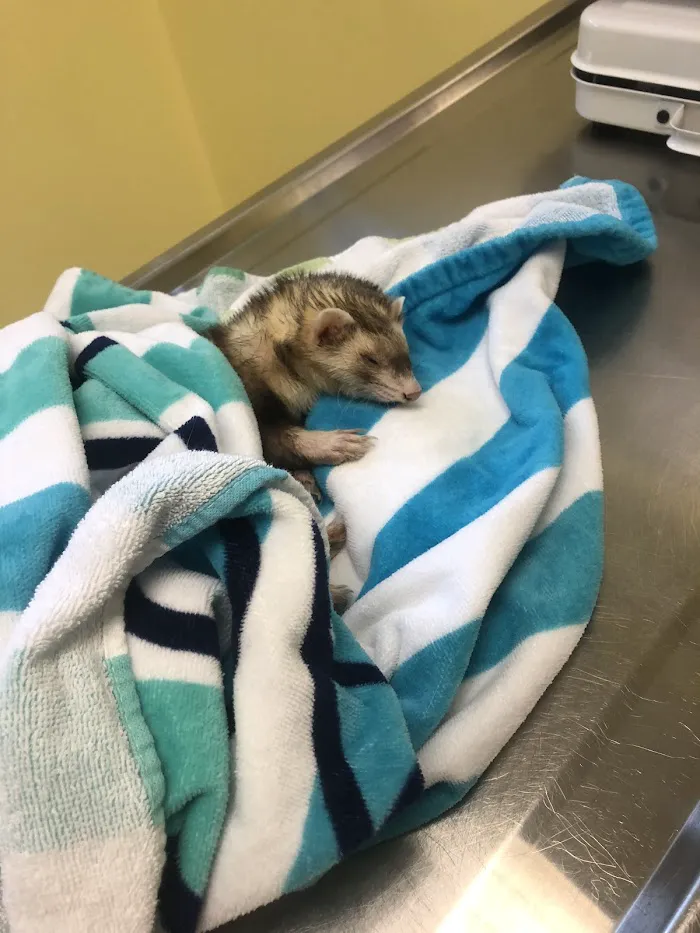 Oak Park Animal Hospital Ltd 12