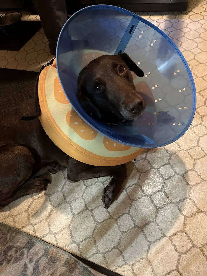 Broadview Animal Hospital 12