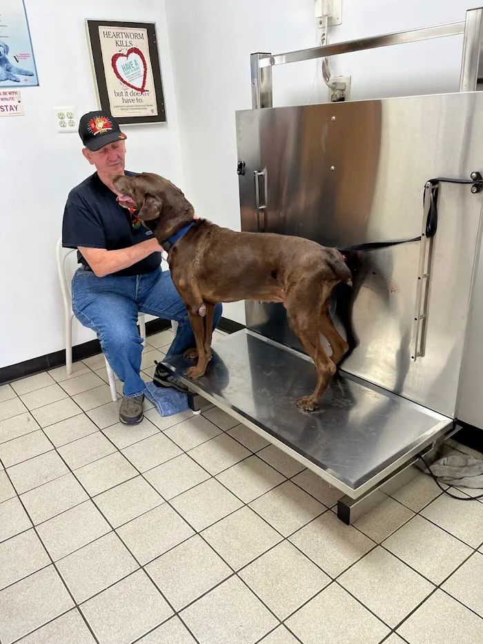 Broadview Animal Hospital 12
