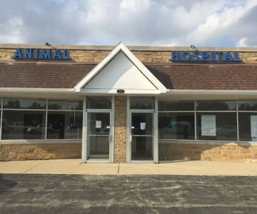 Melrose Park Animal Hospital - IMMEDIATE CARE -