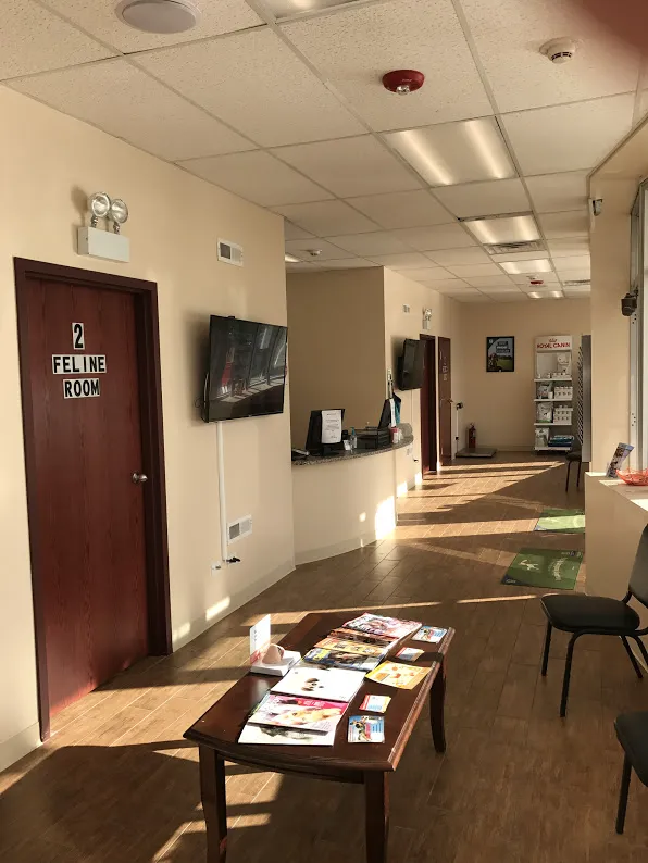 Melrose Park Animal Hospital - IMMEDIATE CARE - 2