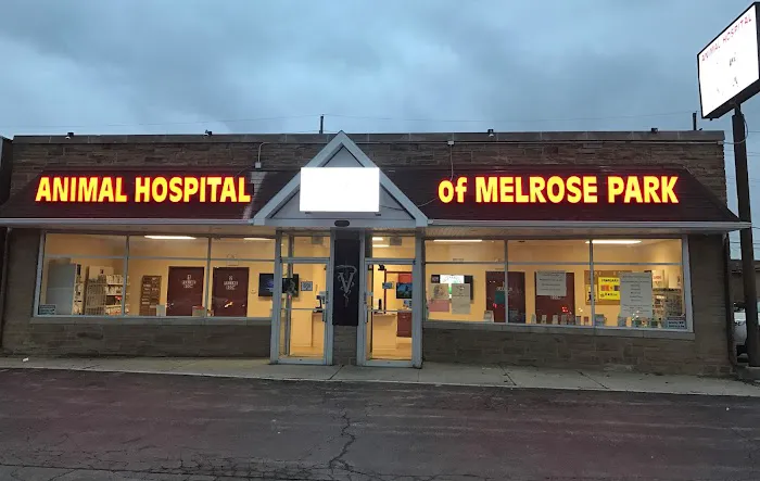 Melrose Park Animal Hospital - IMMEDIATE CARE - 5