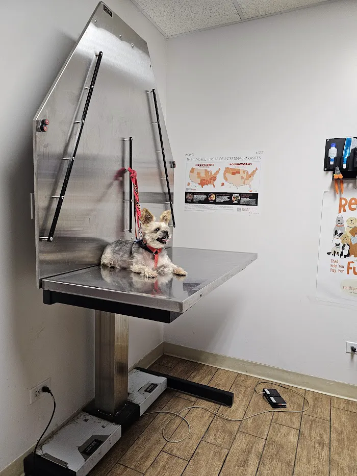Melrose Park Animal Hospital - IMMEDIATE CARE - 10
