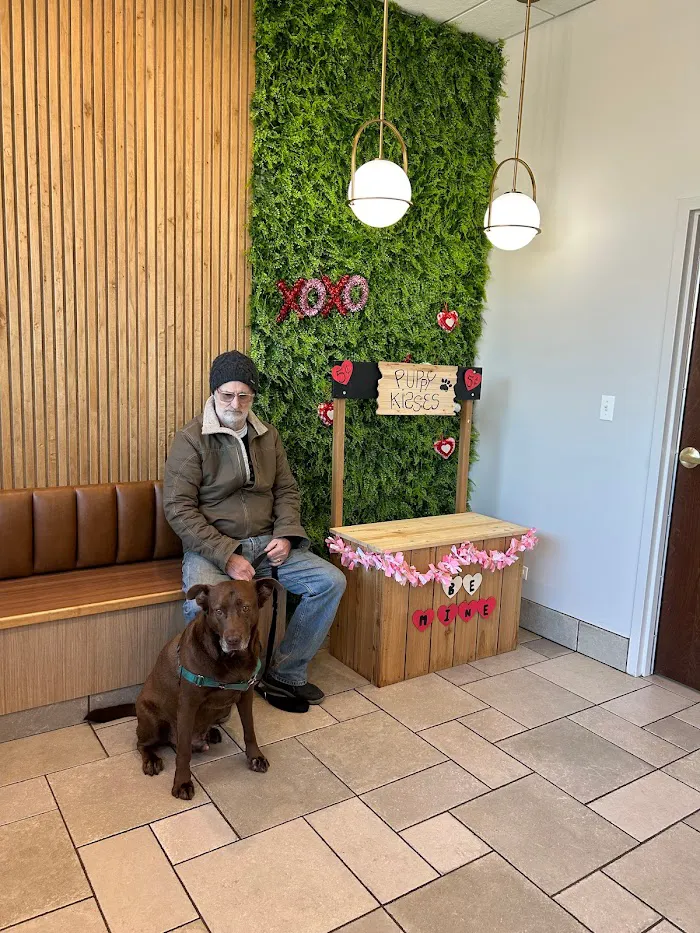 River Forest Animal Hospital 12
