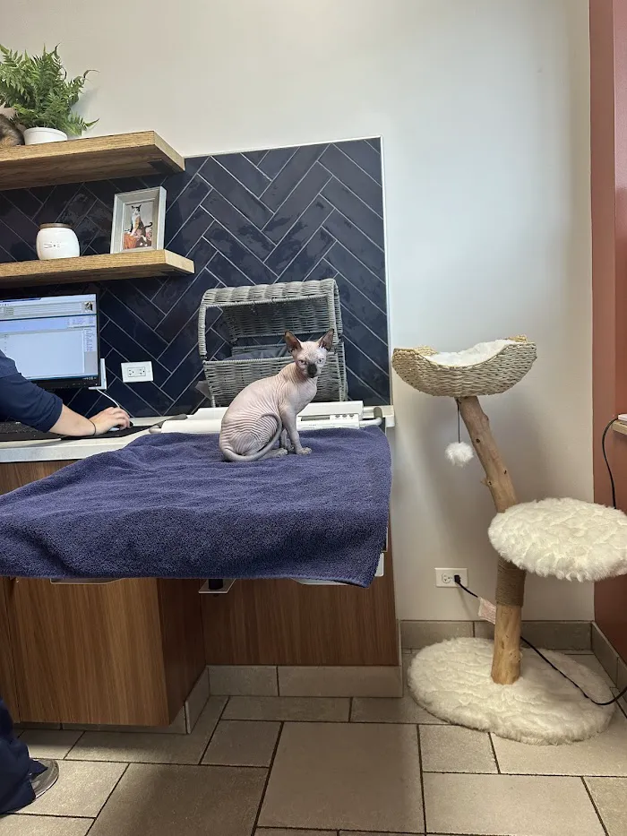 River Forest Animal Hospital 12