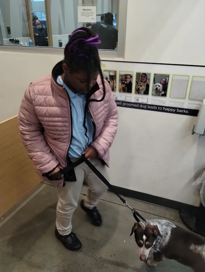 Vetco Total Care Animal Hospital 12