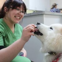 PetVets Animal Hospital ico