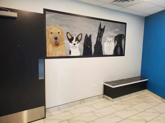 Precious Bond Animal Hospital 12