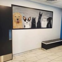 Precious Bond Animal Hospital ico